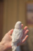 _DSC9995@0,25x.jpg