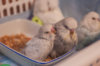 _DSC0053@0,25x.jpg