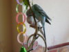 DSC01800.JPG