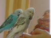 DSC02014.JPG