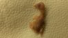 20151113_195245.jpg