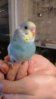 DSC_0667.JPG