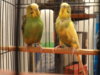 DSC04108.JPG