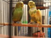 DSC04109.JPG
