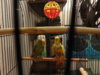DSC04110.JPG