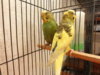DSC04116.JPG