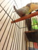 DSC04121.JPG