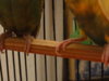 DSC04125.JPG