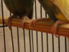 DSC04126.JPG