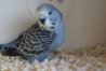 DSC09581.JPG