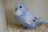DSC09611.JPG