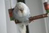 DSC09614.JPG