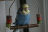 DSC09627.JPG