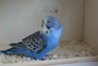 DSC09644.JPG