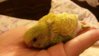 20151122_124111.jpg