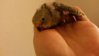 20151122_124321.jpg