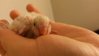 20151122_124514.jpg
