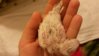 20151122_124533.jpg
