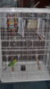 DSCF9302.JPG