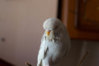 DSC_6315.jpg