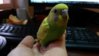 20151125_120726.jpg