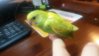 20151125_115731.jpg