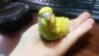 20151125_114402.jpg