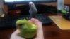 20151125_114527.jpg