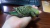 20151125_115954.jpg