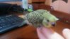 20151125_115817.jpg