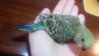 20151125_120047.jpg