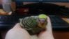 20151125_120511.jpg