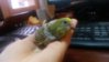 20151125_120447.jpg