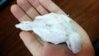 20151125_121113.jpg