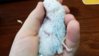 20151125_121135.jpg