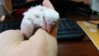 20151125_121152.jpg