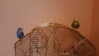 20151125_103803.jpg