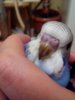 IMG_20171225_215128.jpg