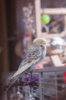 _DSC9589@0,25x.jpg