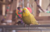 _DSC9719@0,25x.jpg