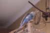 _DSC9618@0,25x.jpg