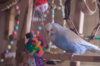 _DSC9818@0,25x.jpg