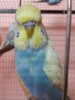 34rH__8DY08.jpg
