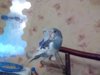 IMG_20171230_105121.jpg