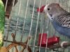 IMG_20170828_114530.jpg