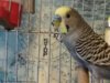IMG_20170828_114516.jpg