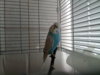 20180104_113721.jpg