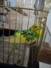 IMG_20180104_175400.jpg