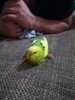 IMG_20180105_180643.jpg
