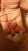 IMG-20180102-WA0050.jpeg